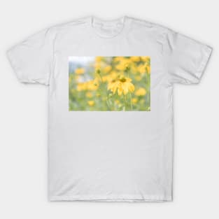 Yellow Coneflower Rudbeckia Lacinata T-Shirt
